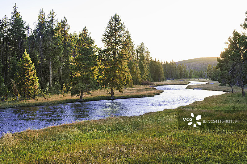 黄石国家公园日落时分的内兹珀斯溪图片素材