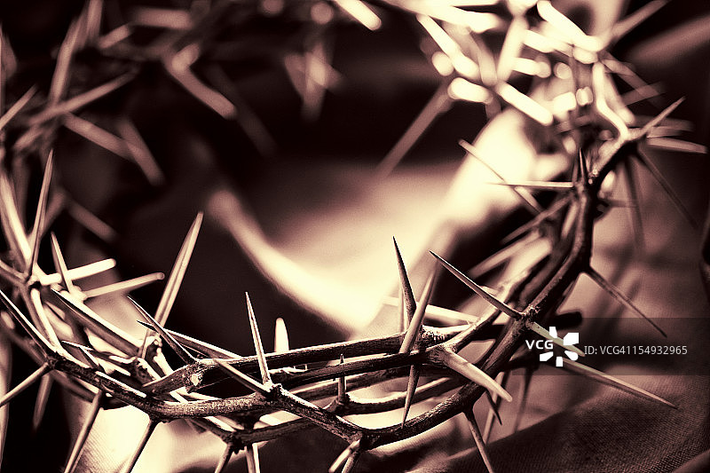 荆棘的冠冕图片素材