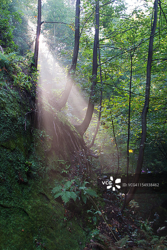 尚克林峡谷图片素材