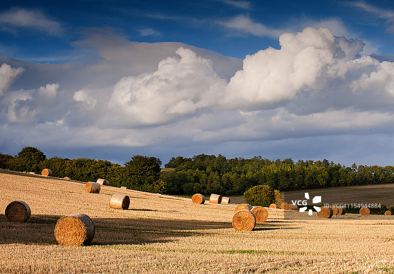 奇尔特恩斯田野里的稻草捆图片素材