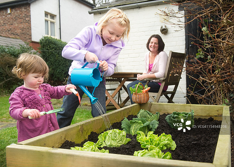 家庭蔬菜时光图片素材