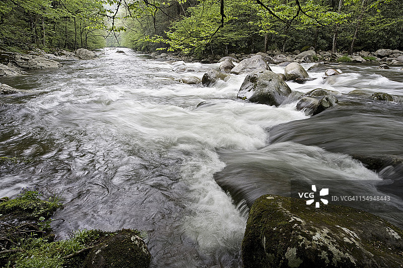 春天里烟雾山的小溪图片素材