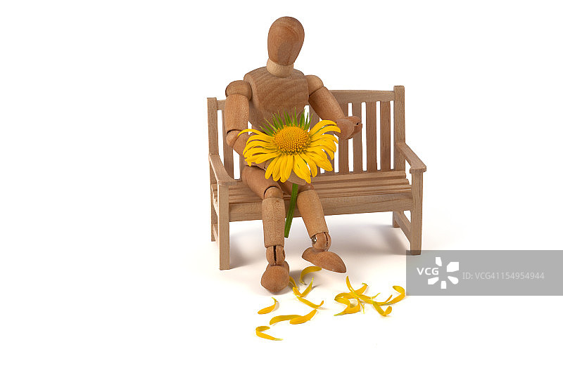 “她爱我…她不爱我…”——手持鲜花的木制人体模型图片素材