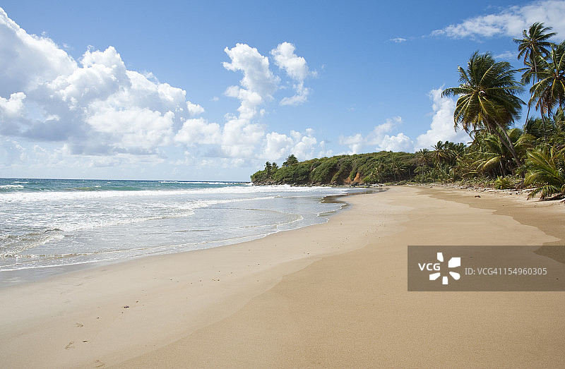蜿蜒的冲浪海浪图片素材