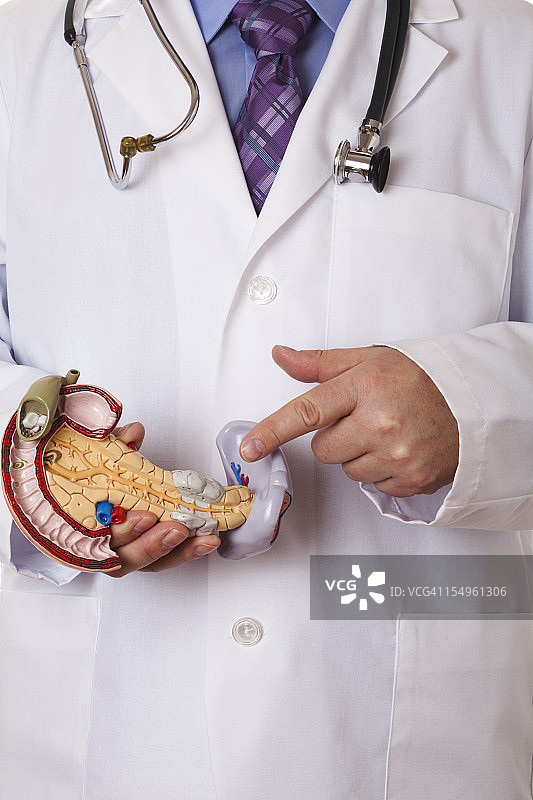 人类胰腺图片素材