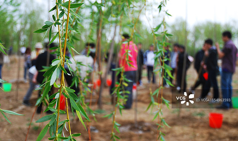 一群人植树图片素材
