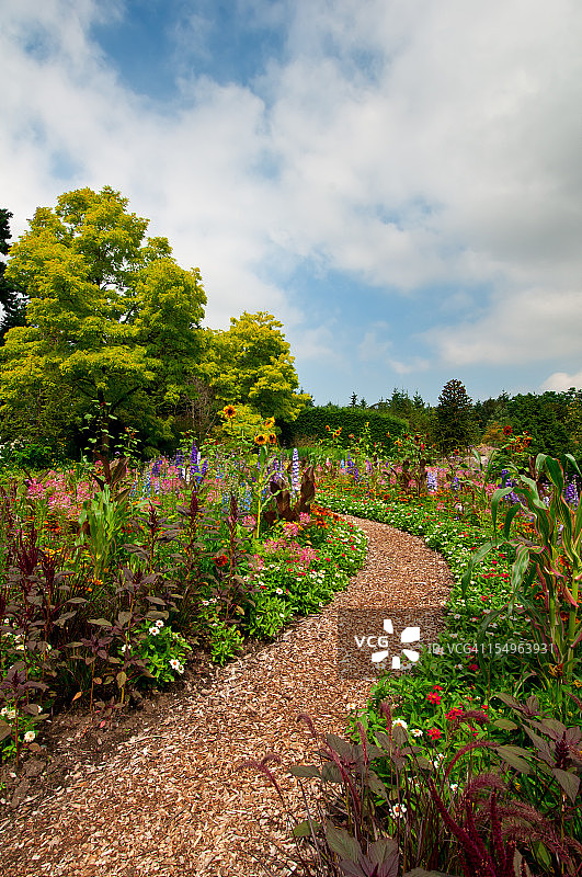 繁茂的夏日花园小路 - III图片素材