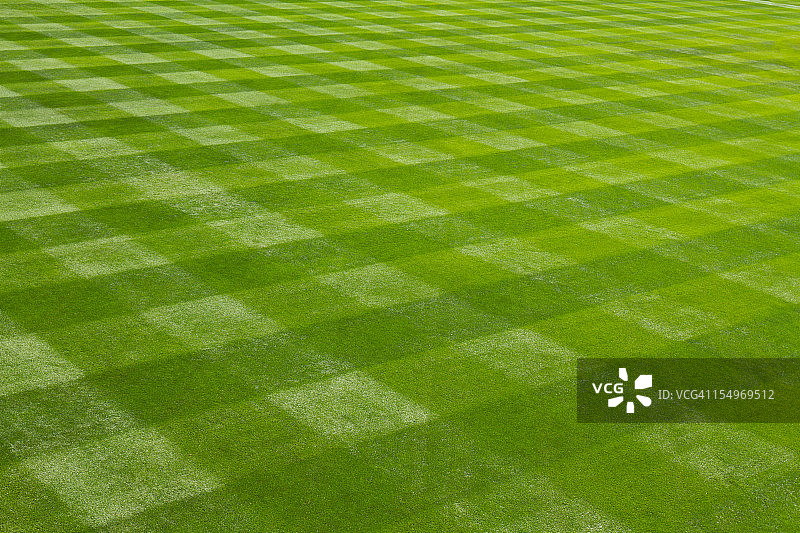 球场的修剪草坪图片素材