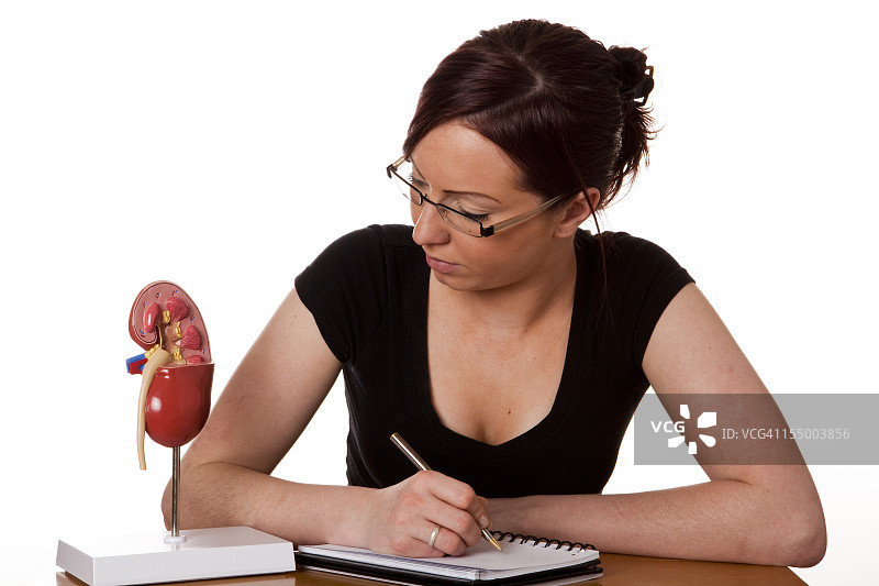 健康的肾脏图片素材