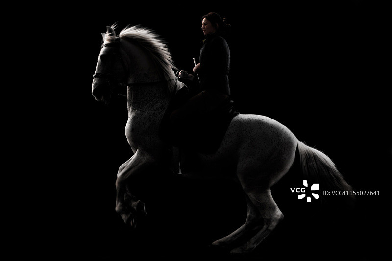 近乎剪影的马和骑手图片素材