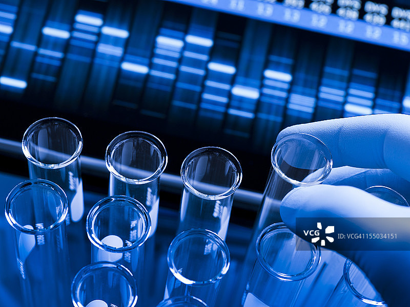 实验室中的基因研究图片素材