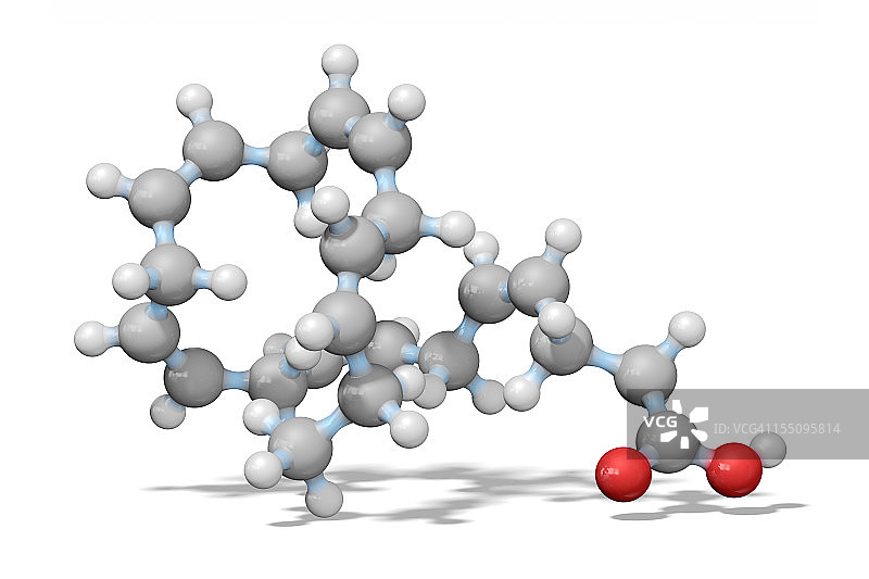 Omega-3必需脂肪酸模型图片素材