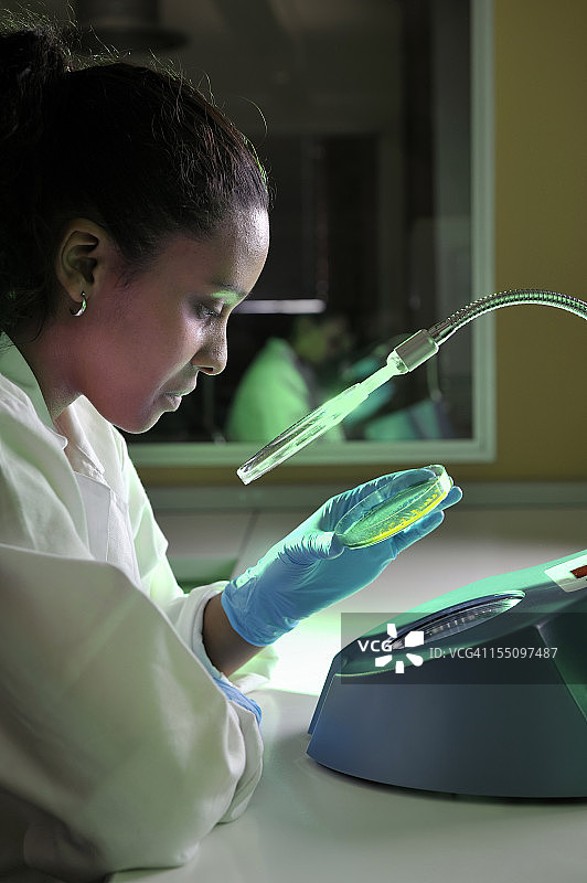 生物技术专家检查食物样本中的细菌肖像图片素材