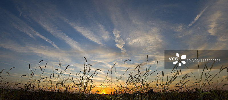 秋收田野上的日落图片素材