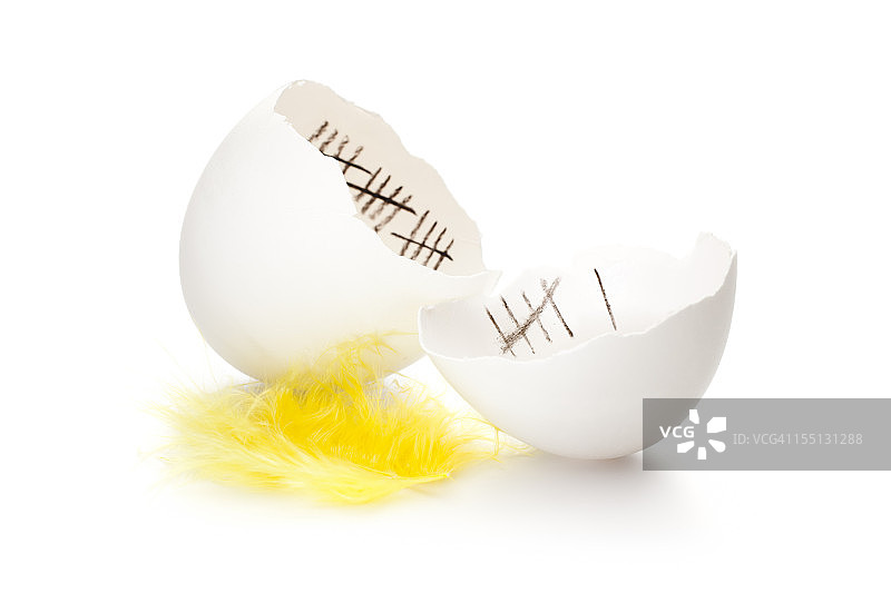 越狱：破裂的蛋壳和小鸡羽毛图片素材