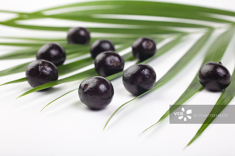 巴西莓果图片素材