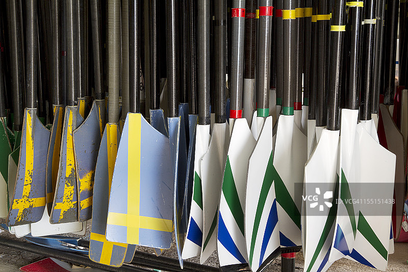 赛艇桨图片素材