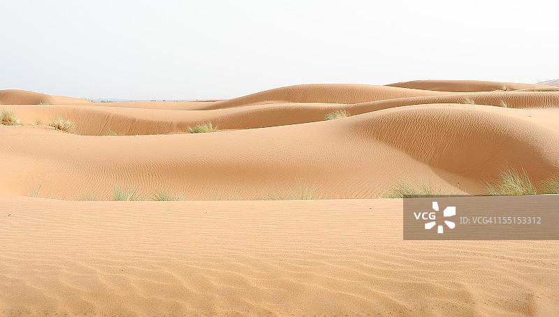 撒哈拉的寂静图片素材