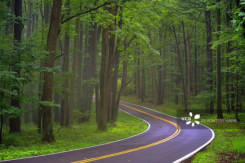 库珀岩州立森林公园公路图片素材