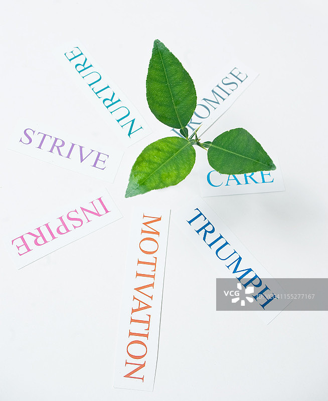 植物生长概念图片素材