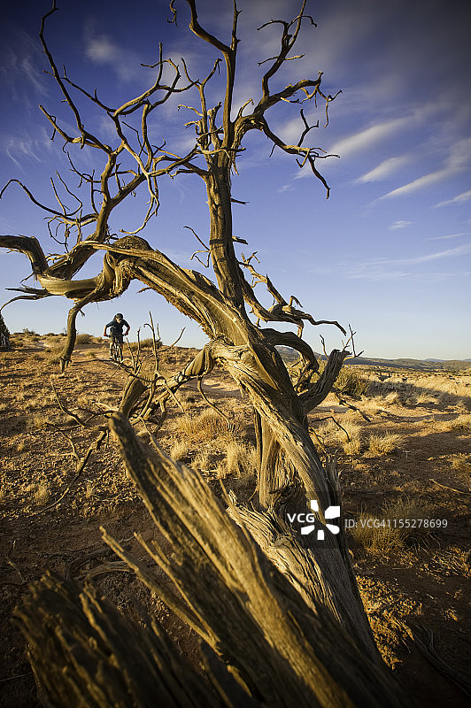 山地自行车图片素材