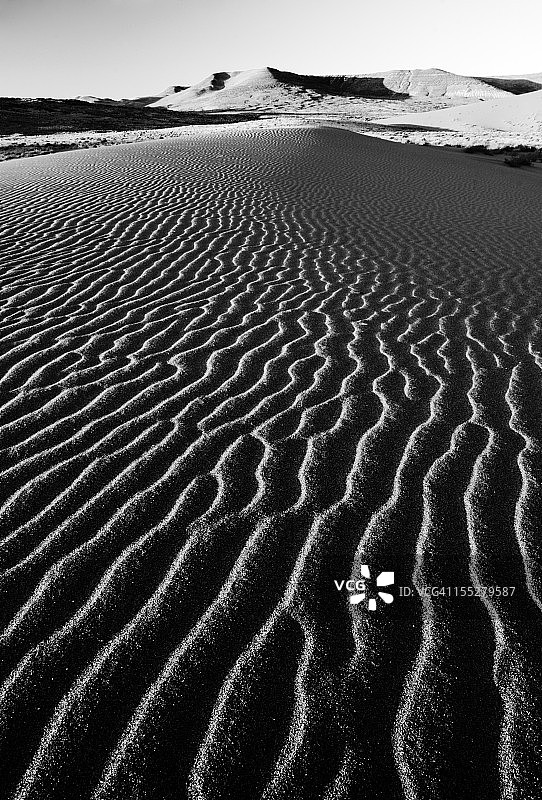 布鲁诺沙丘州立公园图片素材