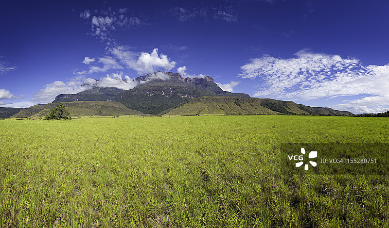 委内瑞拉格兰萨瓦纳高原图片素材