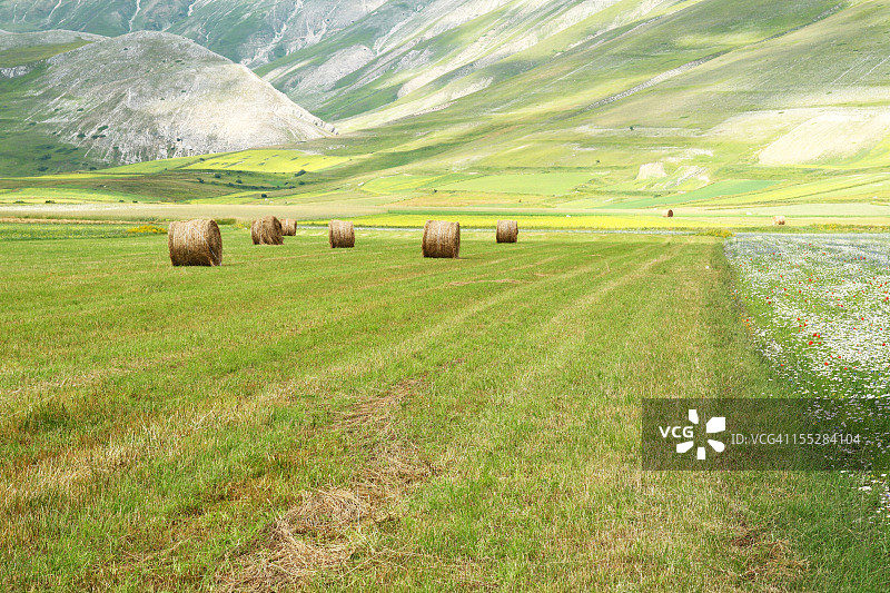 诺尔恰的卡斯特卢乔平原图片素材