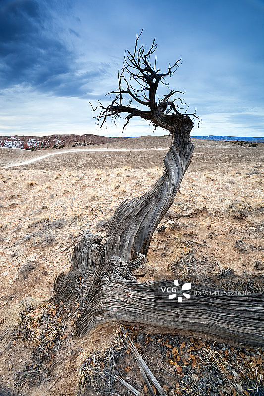 沙漠景观图片素材