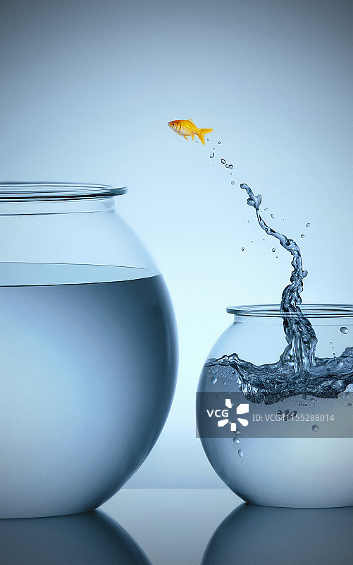 金鱼从小碗跳到大碗图片素材