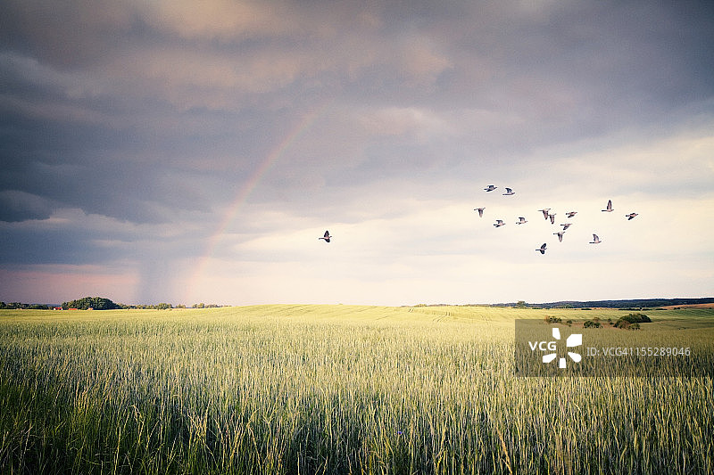 暴风雨天气图片素材