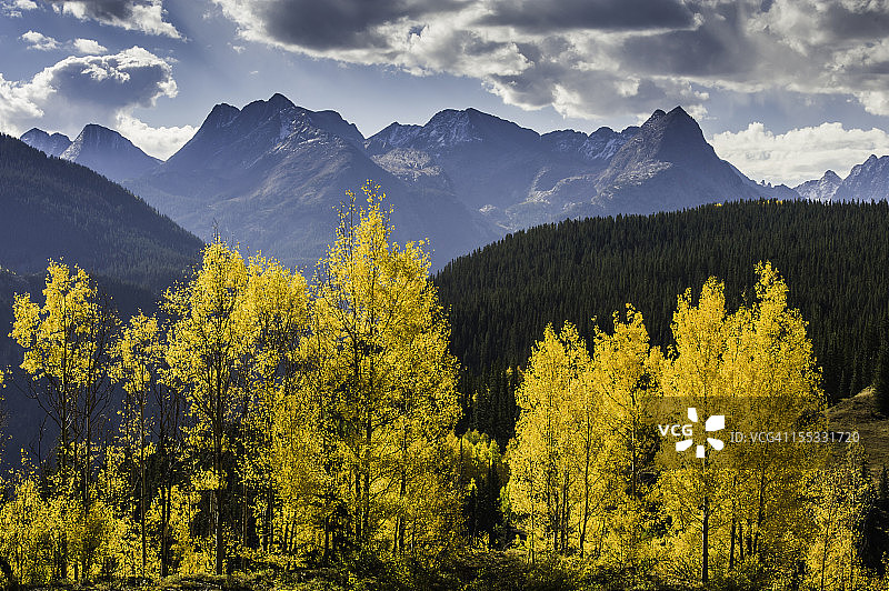 秋季白杨与针山图片素材