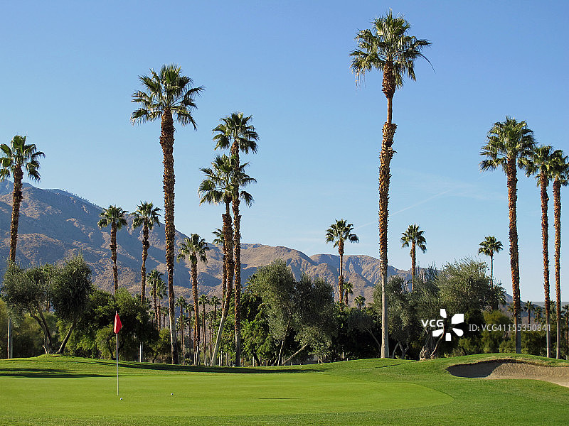 棕榈泉沙漠中绿意盎然的高尔夫球场图片素材