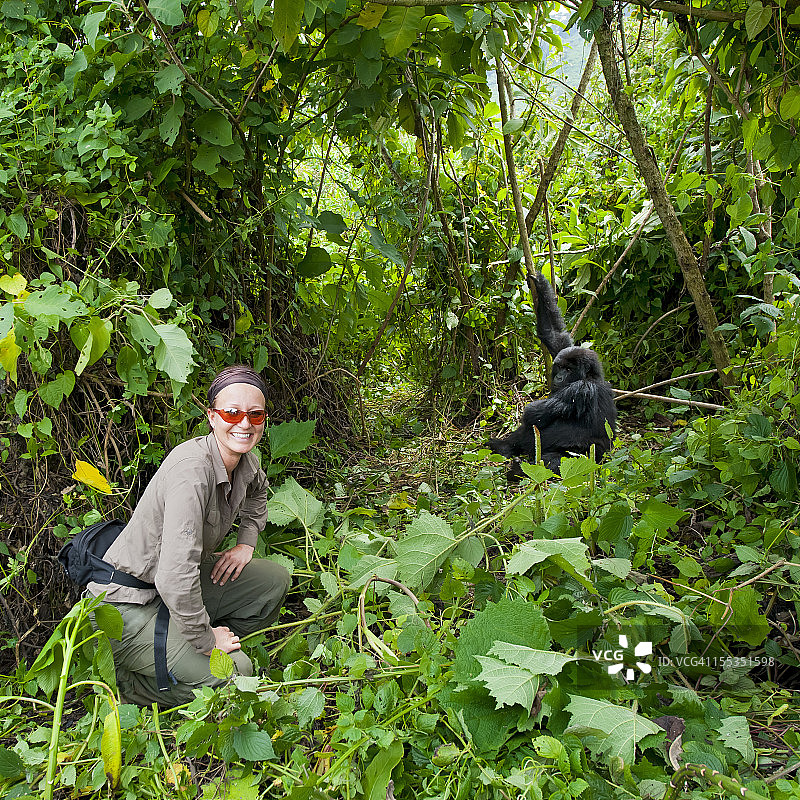 森林里年轻山地大猩猩旁的女人图片素材
