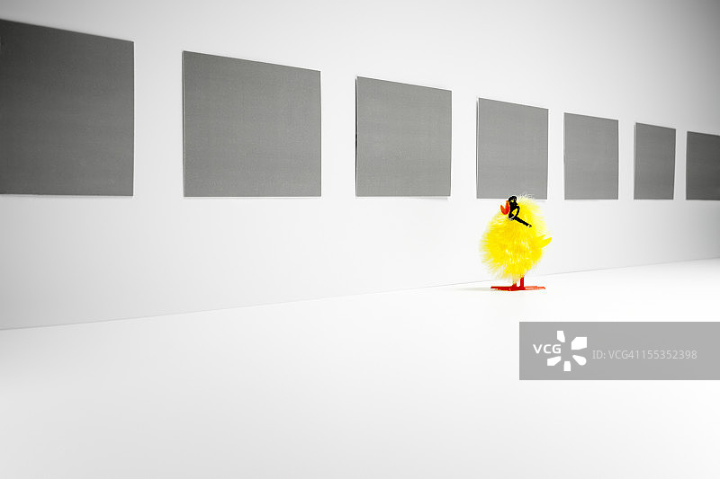 看照片的小鸡图片素材