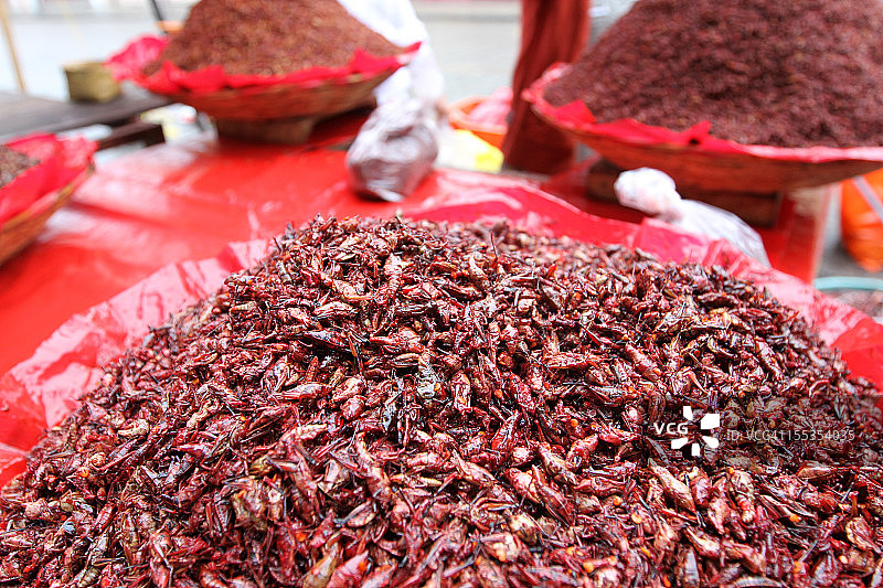 瓦哈卡州查普林蚱蜢墨西哥美食图片素材