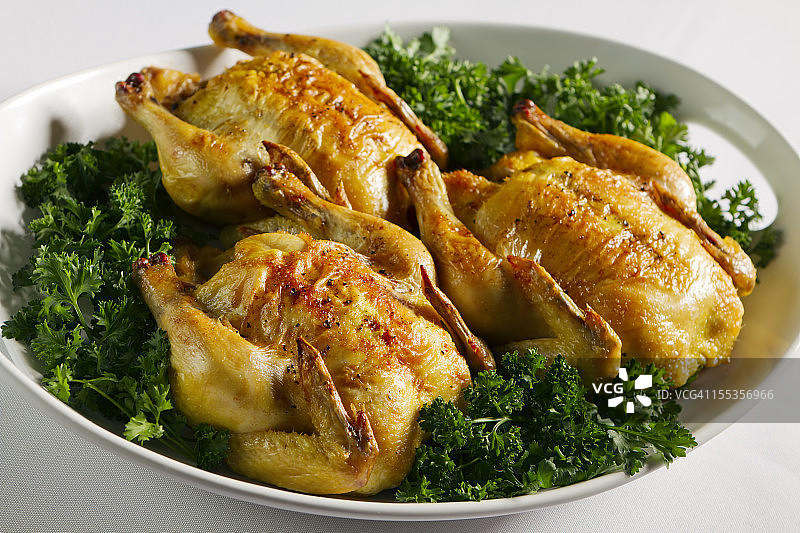 烤箱烤康沃尔母鸡图片素材
