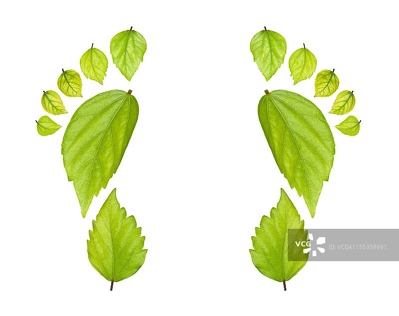 绿色能源图片素材