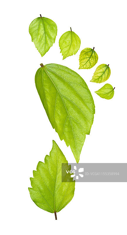 绿色脚印图片素材