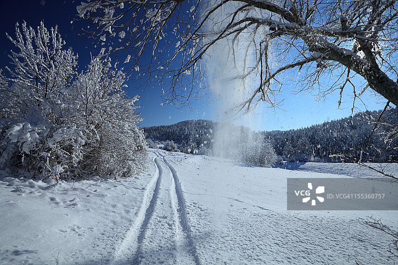 冬季浪漫小路图片素材