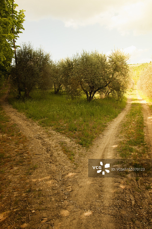 岔路口的叉子图片素材