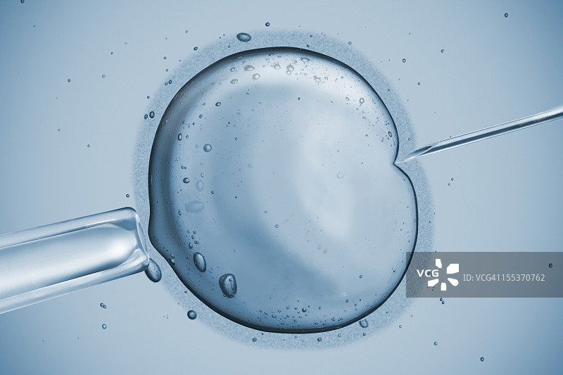 人类生育图片素材