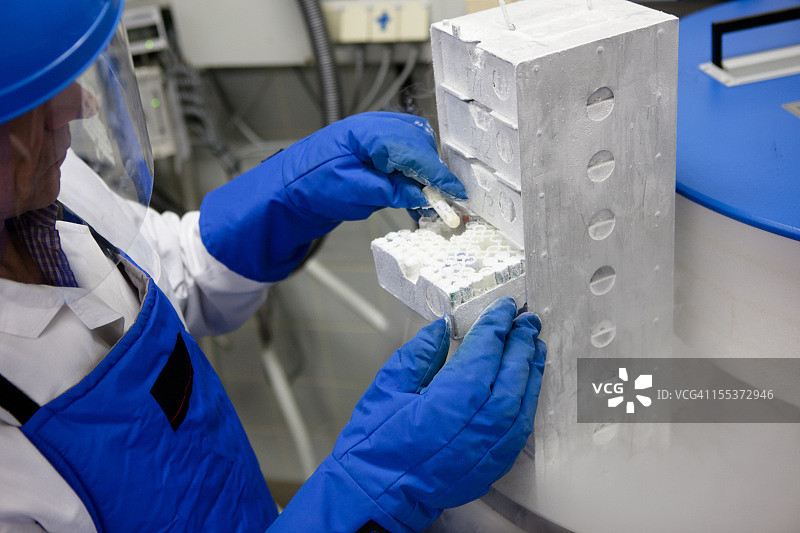 研究人员在液氮容器中工作图片素材