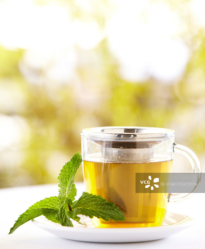 户外薄荷叶绿茶图片素材