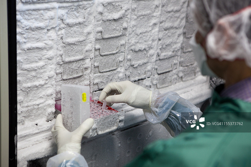 研究人员在赛默飞世尔科技冰箱中寻找样本图片素材