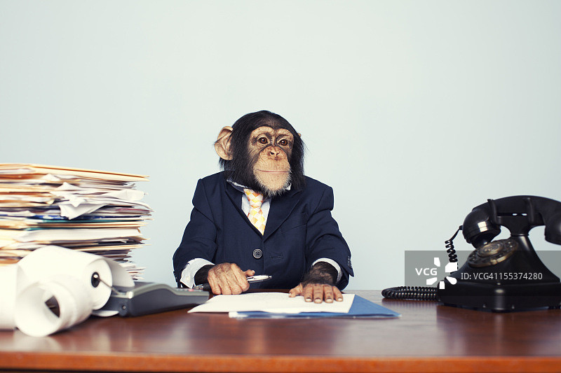 年轻的商务人士图片素材