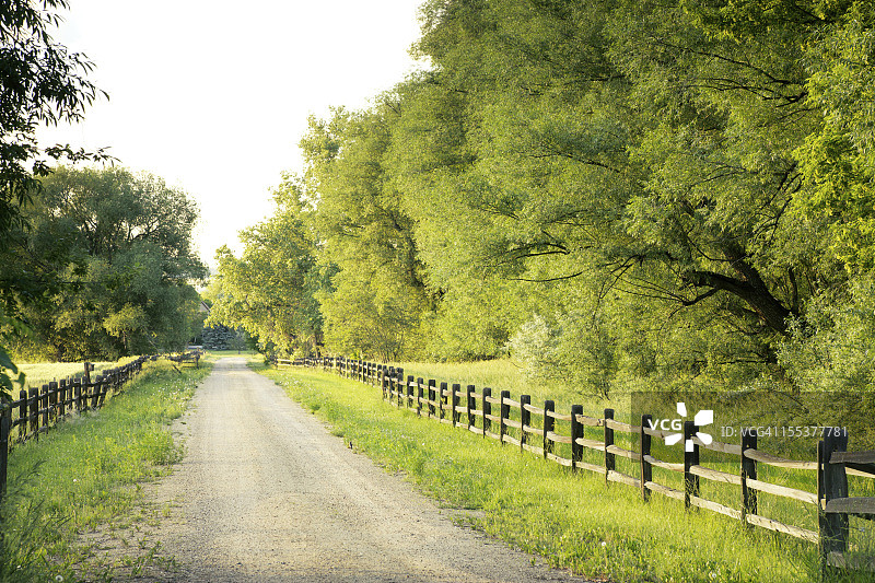 两旁绿树成荫和栅栏的乡间小路图片素材