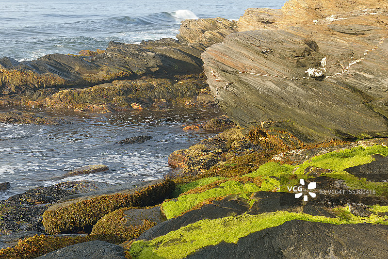 海狸尾州立公园图片素材