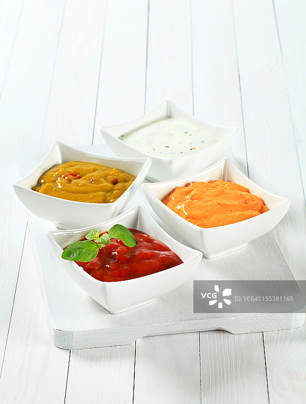 各种萨尔萨酱图片素材