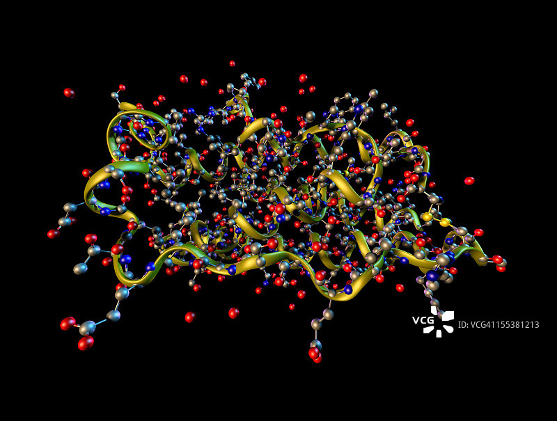 人类瘦素（肥胖激素）模型图片素材